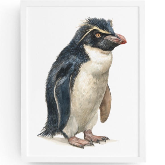 Watercolor Erect-Crested Penguin Wall Art Print Unframed - Antarctic Charm - Picture 1 of 7